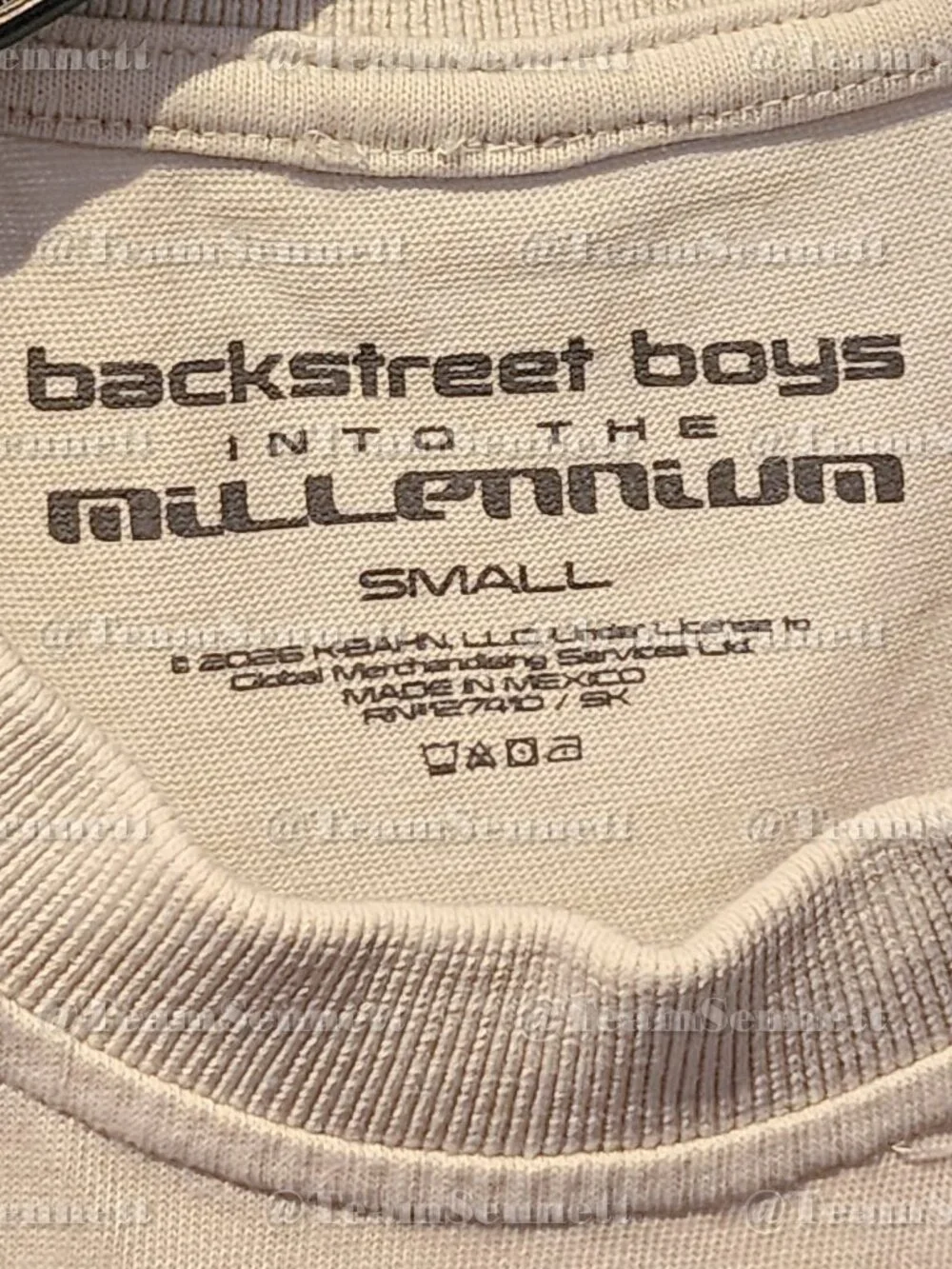 Backstreet Boys Silhouette Shirt / BSB Signature Line / Sphere Las Vegas